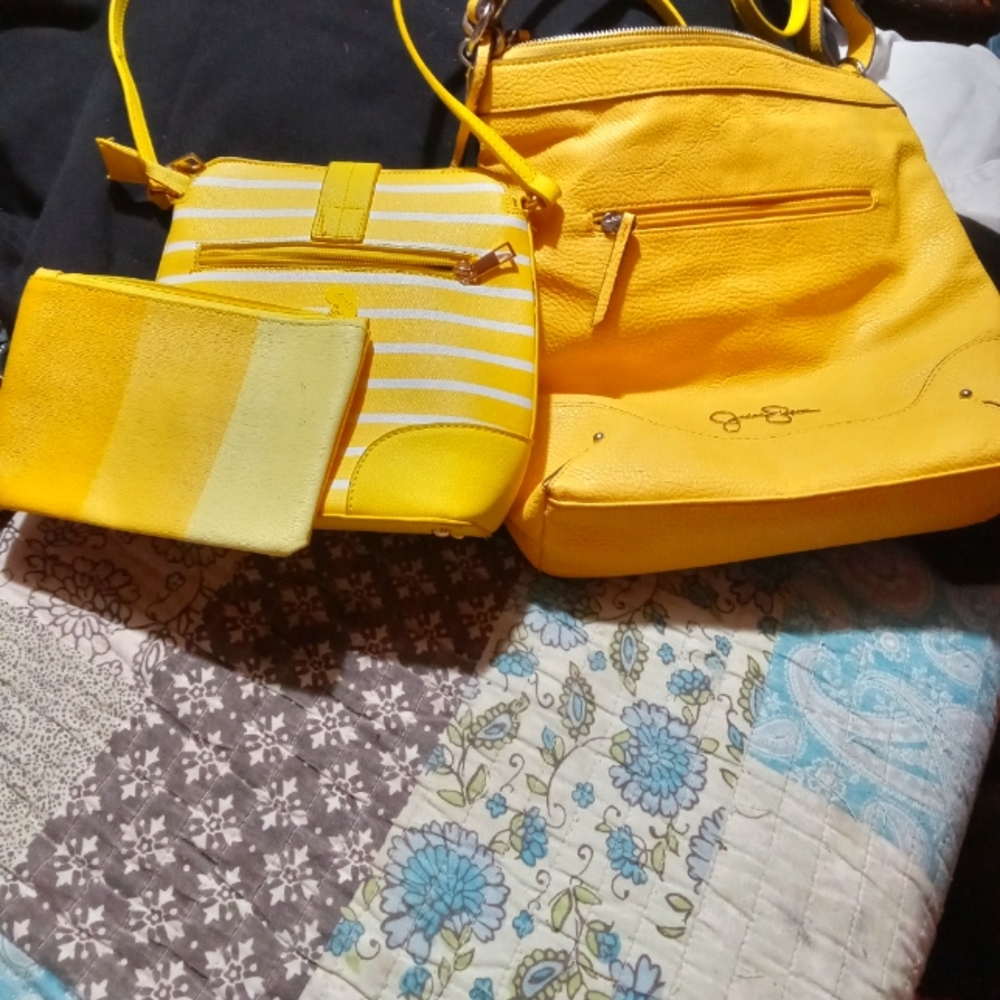Jessica Simpson Handbag Collection